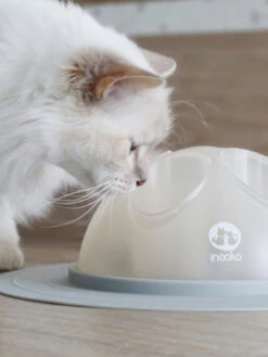 Cat Igloo - Jouet Interactif Pour Chat - Gris -Animalerie inooko cat igloo jouet distributeur croquettes 3 1