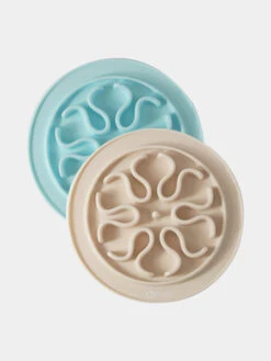 Gamelle Anti-glouton Bleu Pastel 12 Gamelle Anti-glouton Bleu Pastel -Animalerie inooko gamelle anti glouton chat 1 d1b5b194 663f 455c 8485 0aecfa4d421b