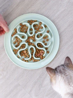 Gamelle Anti-glouton Gris Foncé -Animalerie inooko gamelle anti glouton chat 4 3054d65a 925b 45e7 aded 41df89be1da1