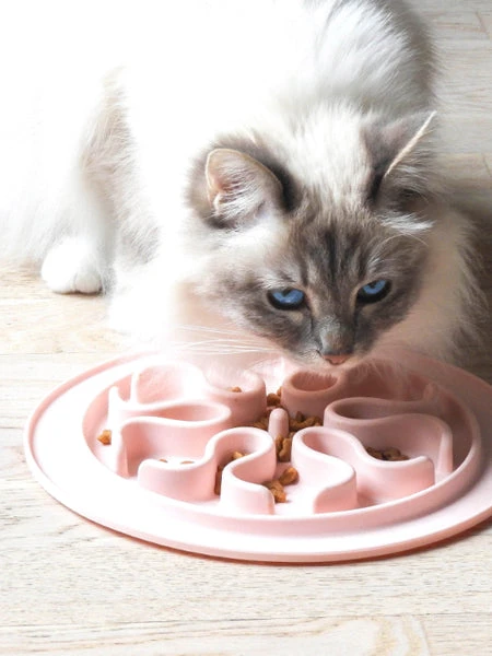 Gamelle Anti-glouton Sable 4 Gamelle Anti-glouton Sable – Image 2