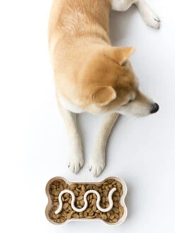 Gamelle Anti-glouton Gris Foncé -Animalerie inooko gamelle anti glouton chien 3