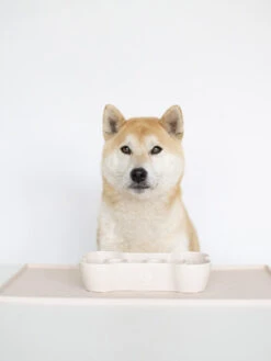 Gamelle Anti-glouton Sable 9 Gamelle Anti-glouton Sable -Animalerie inooko gamelle anti glouton chien 6 198bb040 f59e 4f99 8d28 114ea2ef6244