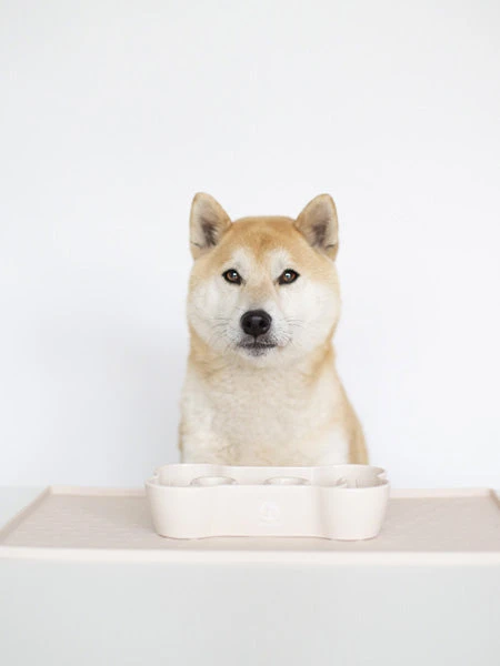 Gamelle Anti-glouton Rouge 8 Gamelle Anti-glouton Rouge – Image 6