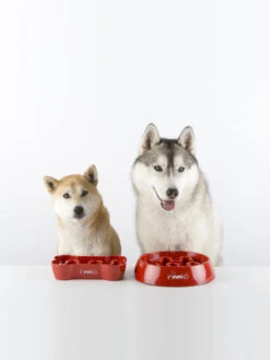 Gamelle Anti-glouton Grand Chien - Gris -Animalerie inooko gamelle anti glouton grand chien