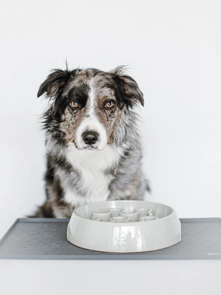 Tapis De Gamelle Pour Chien Et Chat - Gris Foncé 4 Tapis De Gamelle Pour Chien Et Chat - Gris Foncé – Image 2