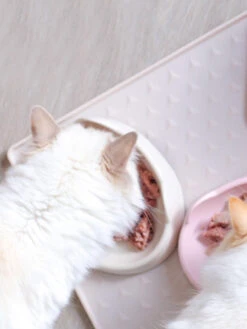 Gamelle MEOOW Pour Chat - Rose -Animalerie inooko gamelle chat meoow 9 d6d4a30a f9cb 4e6a a2a2 574880f95fbe