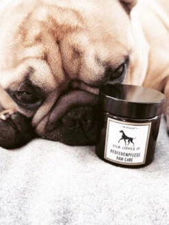 Baume Coussinets Pour Chien - Apaise Et Protège -Animalerie lila loves it baume coussinet pour chien