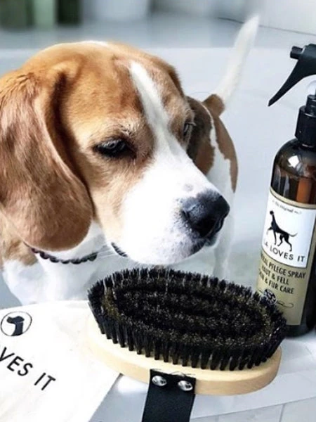 Brosse Pour Poils Courts Chiens Et Chats 4 Brosse Pour Poils Courts Chiens Et Chats – Image 2