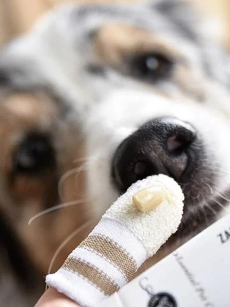 Dentifrice Naturel Pour Chien Et Chat 4 Dentifrice Naturel Pour Chien Et Chat – Image 2