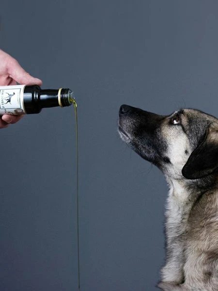 Mélange De 5 Huiles Pour Chien 4 Mélange De 5 Huiles Pour Chien – Image 2