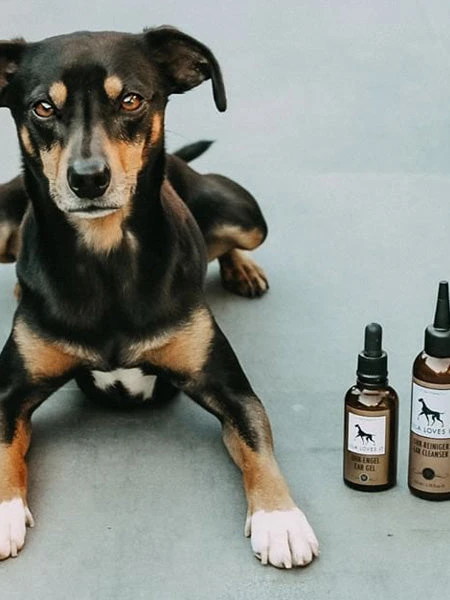 Soin Nettoyant Oreilles Pour Chien Et Chat 4 Soin Nettoyant Oreilles Pour Chien Et Chat – Image 2