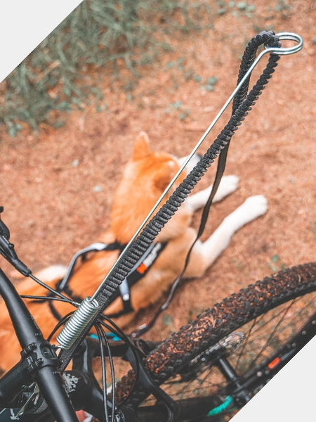 Antenne Cani-VTT Fixe - Bike Antenna - Non-Stop Dogwear 4 Antenne Cani-VTT Fixe - Bike Antenna - Non-Stop Dogwear – Image 2