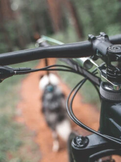 Antenne Cani-VTT Fixe - Bike Antenna - Non-Stop Dogwear -Animalerie non stop dogwear bike antenna 6 1