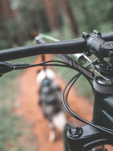 Antenne Cani-VTT Fixe - Bike Antenna - Non-Stop Dogwear 5 Antenne Cani-VTT Fixe - Bike Antenna - Non-Stop Dogwear – Image 3