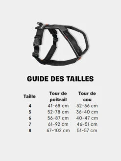 Harnais Pour Chien - Line Harness 5.0 - Bleu - Non-Stop Dogwear -Animalerie non stop dogwear harnais chien line harness 5.0 12 7d01ef67 3a7e 43f9 9f1b bad64f56ed7a