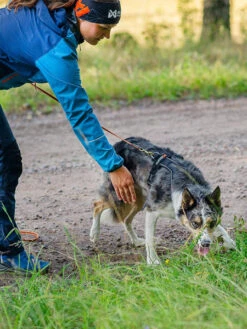 Harnais Pour Chien - Line Harness 5.0 - Vert - Non-Stop Dogwear 12 Harnais Pour Chien - Line Harness 5.0 - Vert - Non-Stop Dogwear -Animalerie non stop dogwear harnais chien line harness 5.0 6