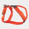 Harnais Pour Chien - Line Harness 5.0 - Orange - Non-Stop Dogwear 1 Harnais Pour Chien - Line Harness 5.0 - Orange - Non-Stop Dogwear -Animalerie non stop dogwear harnais chien line harness 5.0 orange 1
