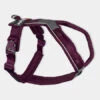 Harnais Pour Chien - Line Harness 5.0 - Violet - Non-Stop Dogwear -Animalerie non stop dogwear harnais chien line harness 5.0 violet 1