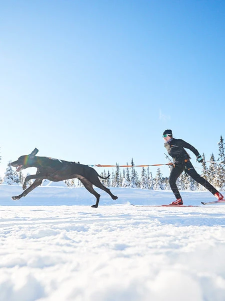 Harnais Pour Chien - Freemotion Harness - Non-Stop Dogwear 9 Harnais Pour Chien - Freemotion Harness - Non-Stop Dogwear – Image 7