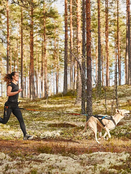 Harnais Pour Chien - Freemotion Harness - Non-Stop Dogwear 4 Harnais Pour Chien - Freemotion Harness - Non-Stop Dogwear – Image 2