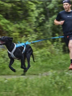 Non-stop Dogwear Harnais Pour Chien - Freemotion Harness 5.0 - Bleu/Gris -Animalerie non stop dogwear harnais freemotion bleu 2