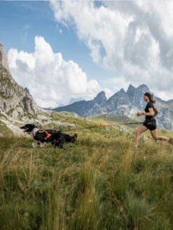 Non-stop Dogwear Harnais Pour Chien - Freemotion Harness 5.0 - Orange/Noir -Animalerie non stop dogwear harnais freemotion orange 3