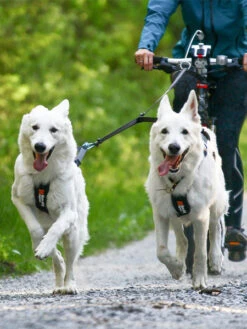 Laisse Double - Touring Double (M) - Non-Stop Dogwear -Animalerie non stop dogwear laisse double bungee 4 1