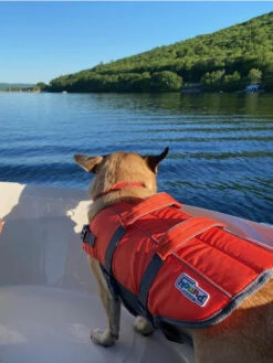 Gilet De Sauvetage Pour Chien - Orange - Outward Hound -Animalerie outward hound GranbySplash gillet sauvetage pour chien 5 1