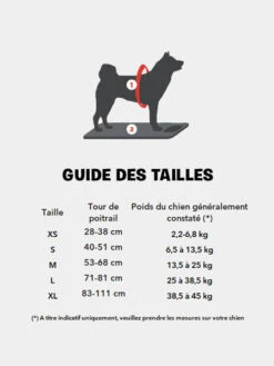 Gilet De Sauvetage Pour Chien - Orange - Outward Hound -Animalerie outward hound GranbySplash gillet sauvetage pour chien guide taille 1
