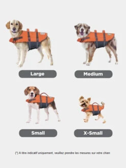 Gilet De Sauvetage Pour Chien - Orange - Outward Hound -Animalerie outward hound GranbySplash gillet sauvetage pour chien guide taille
