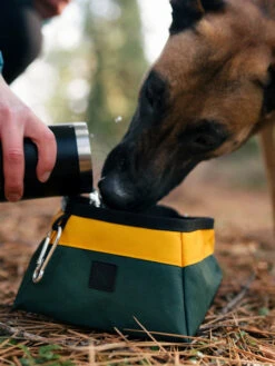 Gamelle De Voyage Pour Chien - Landscape Series - Moss -Animalerie pet play gamelle pliable transport voyage landscape moss vert 2 1