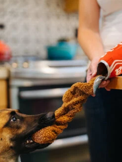 Peluche Pour Chien Snack Attack - Cola đ„€ - Pet PLAY 9 Peluche Pour Chien Snack Attack - Cola đ„€ - Pet PLAY -Animalerie pet play peluche chien snack attack cola 5