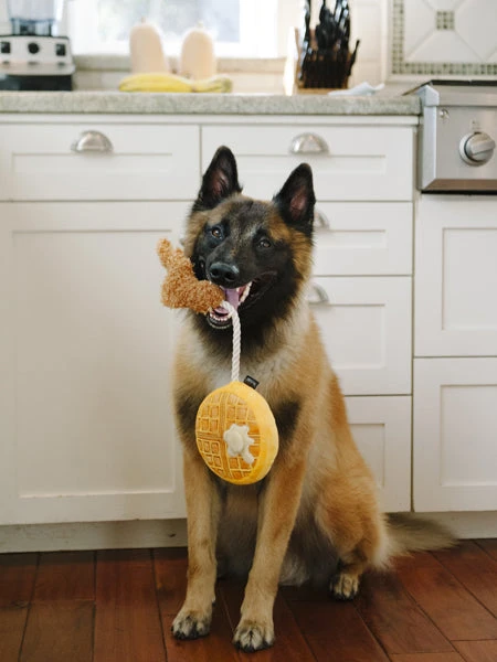 Jouet En Peluche Pour Chien - Barking Brunch - Gaufre Au Poulet - Pet PLAY 4 Jouet En Peluche Pour Chien - Barking Brunch - Gaufre Au Poulet - Pet PLAY – Image 2
