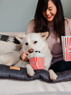 Jouet En Peluche Pour Chien - Hollywoof Cinema - Poppin’ Pupcorn - Pet PLAY -Animalerie pet play peluche pour chien chiot Hollywoof pop corn 5