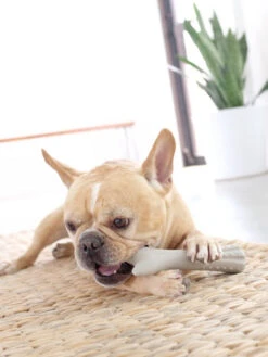 Animalerie -Animalerie pet stages bois de cerf a macher deerhorn 1