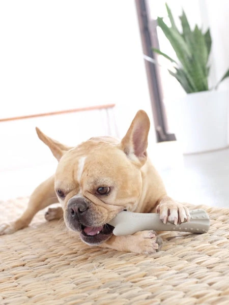 Bâton De Bois Cerf à Mâcher Pour Chien - Deerhorn 4 Bâton De Bois Cerf à Mâcher Pour Chien - Deerhorn – Image 2