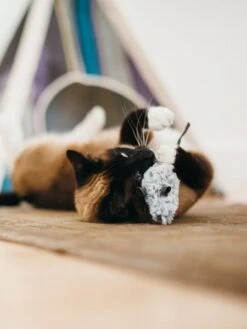 Jouet Souris Pour Chat - Herbe à Chat Biologique - Pet PLAY -Animalerie petplay peluche ecofriendly pour chat souris 2