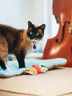 Jouet Pour Chat - Herbe à Chat Biologique - Pet PLAY 10 Jouet Pour Chat - Herbe à Chat Biologique - Pet PLAY -Animalerie petplay peluche ecofriendly pour chat sushi 1