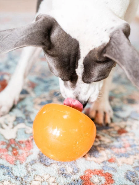 Snoop Orbee-Tuff Pour Chien - Jouet Interactif Distributeur De Friandises 4 Snoop Orbee-Tuff Pour Chien - Jouet Interactif Distributeur De Friandises – Image 2