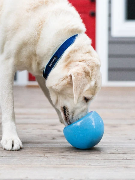 Snoop Orbee-Tuff Pour Chien - Jouet Interactif Distributeur De Friandises 6 Snoop Orbee-Tuff Pour Chien - Jouet Interactif Distributeur De Friandises – Image 4