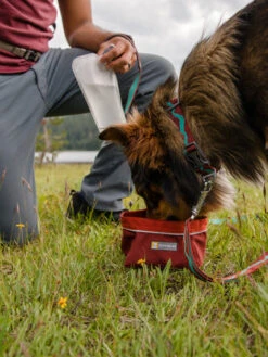 Ruffwear Gamelle De Transport Pour Chien - Fired Brick -Animalerie ruffwear gamelle Quencher de voyage transport pour chien fired brick 2