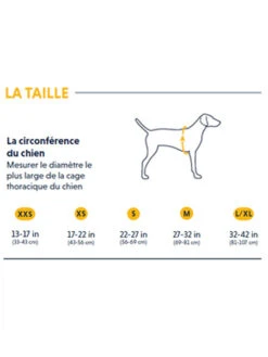 Harnais Ruffwear - Front Range - Noir - Twilight Gray -Animalerie ruffwear harnais front range pour chien Taille