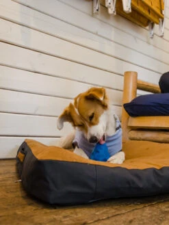 Ruffwear Jouet Gnawt A Cone - Bleu Eau -Animalerie ruffwear jouet resistant eco friendly durable naturelgnawt a cone bleu 2023 2