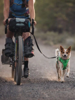 Ruffwear Laisse Roamer Extensible - Rouge 20 Ruffwear Laisse Roamer Extensible - Rouge -Animalerie ruffwear laisse Roamer pour chien 1 814e95bd ee12 4d81 a016 e47d198162c9