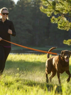 Ruffwear Laisse Roamer Extensible - Rouge 19 Ruffwear Laisse Roamer Extensible - Rouge -Animalerie ruffwear laisse Roamer pour chien 3d3d7821 759c 4e32 9c42 f5dfe8bdaf51 1