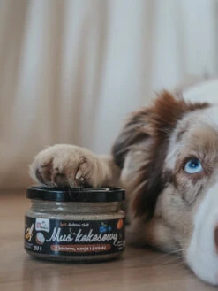 Mousse à Tartiner - Coco 🥥 Banane 🍌 Mangue 🥭et Blueberry🫐