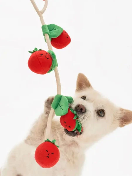 Jouet De Fouille Pour Chien - Tomates Cerises - The FurryFolks 4 Jouet De Fouille Pour Chien - Tomates Cerises - The FurryFolks – Image 2