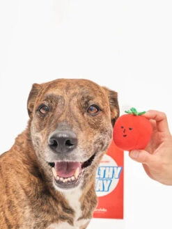 Jouet De Fouille Pour Chien - Tomates Cerises - The FurryFolks 9 Jouet De Fouille Pour Chien - Tomates Cerises - The FurryFolks -Animalerie the furry folks jouet de fouille puzzle interactif pour chien CherryTomato nose work tug 3