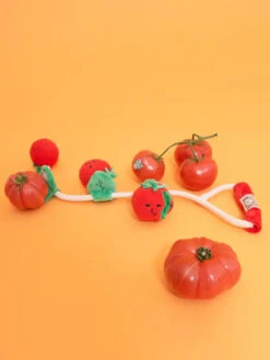 Jouet De Fouille Pour Chien - Tomates Cerises - The FurryFolks 11 Jouet De Fouille Pour Chien - Tomates Cerises - The FurryFolks -Animalerie the furry folks jouet de fouille puzzle interactif pour chien CherryTomato nose work tug 5
