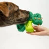 Jouet De Fouille Et D'enrichissement Pour Chien - Brocolis - The FurryFolks 2 Jouet De Fouille Et D'enrichissement Pour Chien - Brocolis - The FurryFolks -Animalerie the furry folks jouet de fouille puzzle interactif pour chien brocolis 2